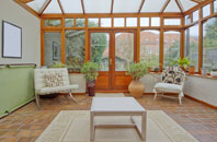 free Shackleford conservatory quotes